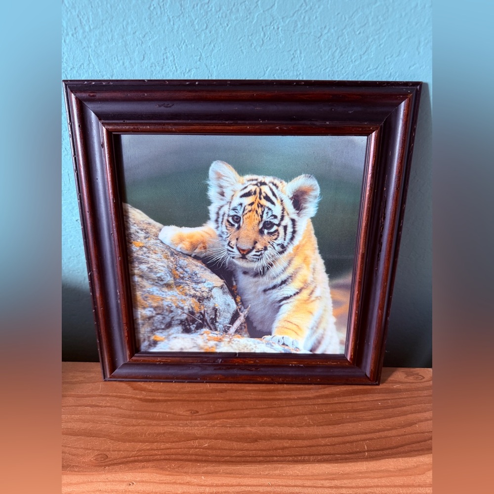 Vintage 3D Tiger Cub Wall Art Framed 11.25” Square Lenticular Photo